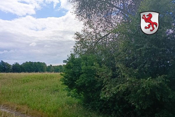 Eine Hecke